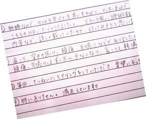 アンケート用紙